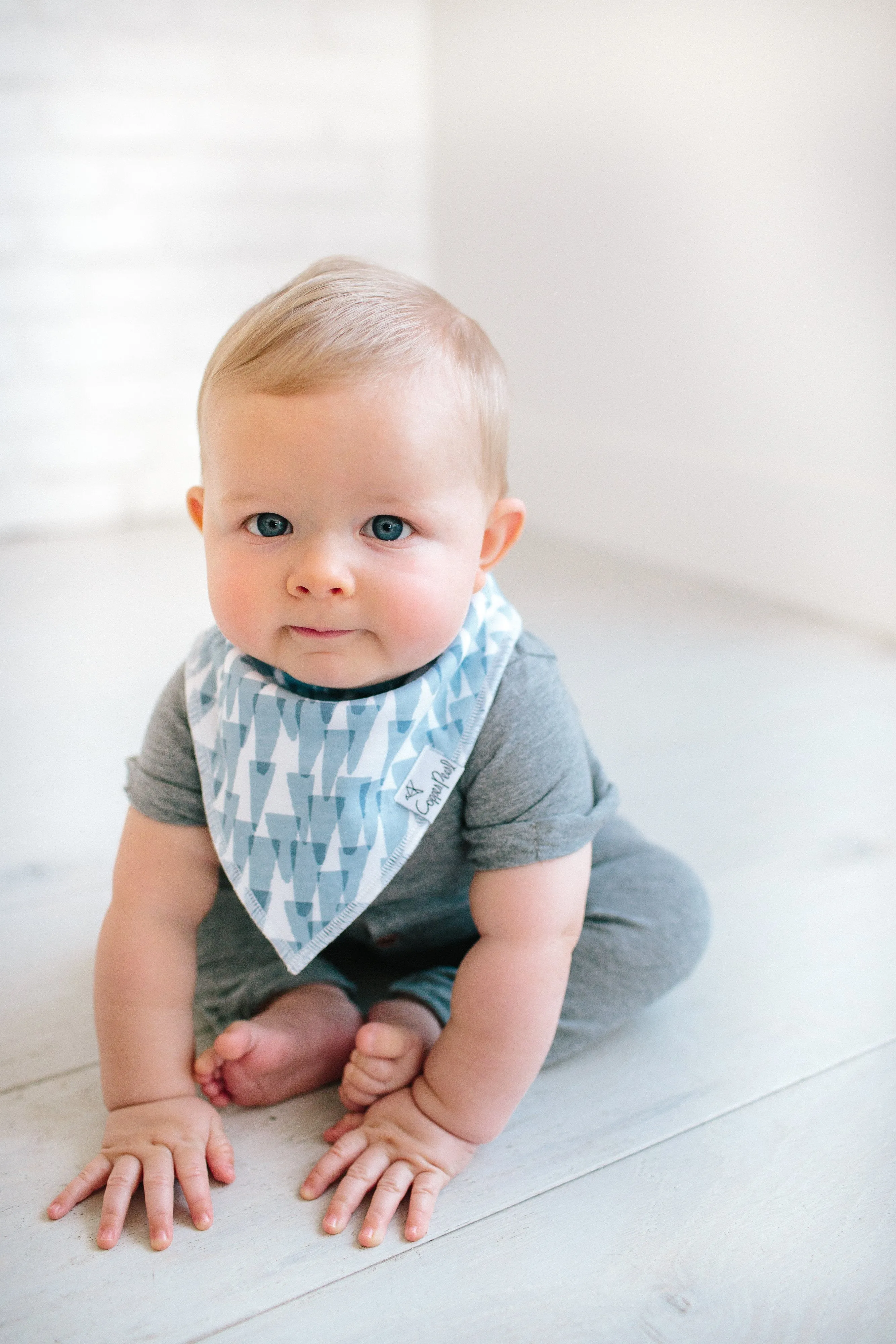 Copper Pearl Baby Bandana Bibs | Arctic