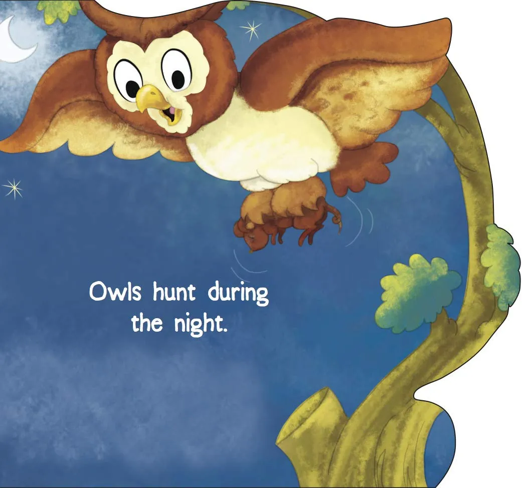 Om Books International Owl ( Animals and Birds )- Cutout Board Books