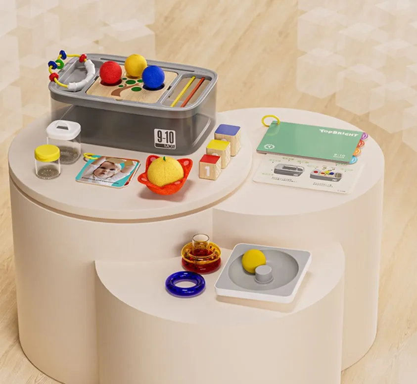 TopBright Early Childhood Development Box 25pc; 9-10 Months