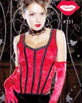 Womens Brocade and Lycra Back Corset -Closeout SALE Womens Brocade and Lycra Back Corset -Closeout SALE